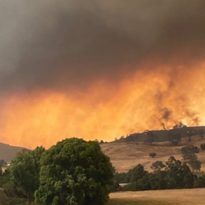 incendies en Australie